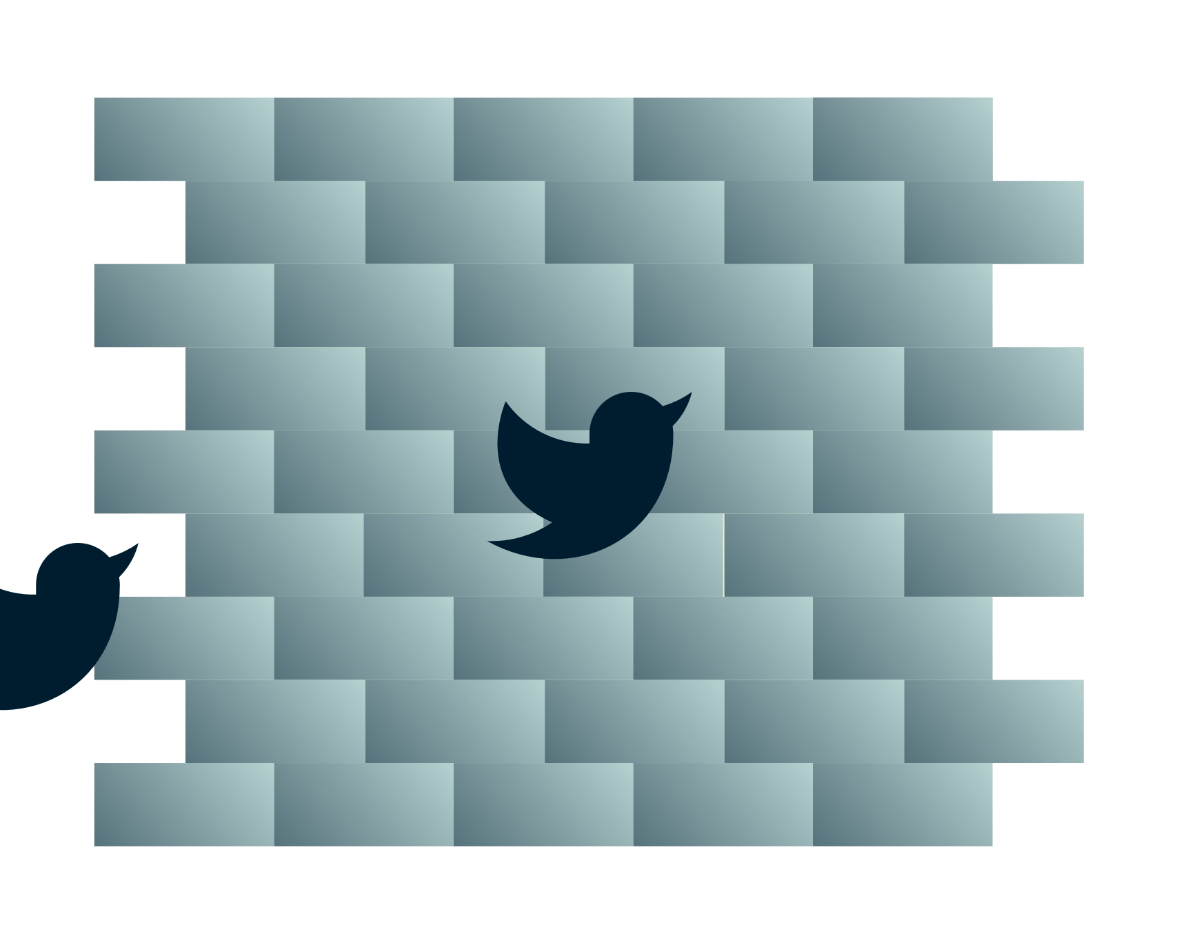 Twitter-Vögel fliegen gegen eine Wand.