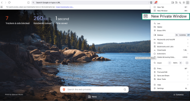 Brave browser dropdown menu showing New Private Window option selected for incognito browsing